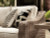 Ashley Beachcroft Beige 2-Piece Outdoor Loveseat with Cushion (Set of 2)