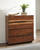 Coaster Winslow CHEST