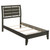 Coaster Serenity TWIN BED