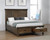 Coaster Franco EASTERN KING STORAGE BED  Brown