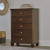 Ashley Danabrin Brown Twin Panel Bed with Mirrored Dresser, Chest and 2 Nightstands