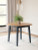 Ashley Gesthaven Natural Brown Dining Table and 2 Chairs