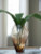 Ashley Ewart Light Brown Vase A2000867
