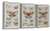 Ashley Jossletts Orange Black Ivory Wall Art (Set of 3)