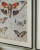 Ashley Jossletts Orange Black Ivory Wall Art (Set of 3)