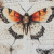 Ashley Jossletts Orange Black Ivory Wall Art (Set of 3)