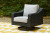 Ashley Beachcroft Black Light Gray Outdoor Swivel Lounge with Cushion