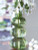 Ashley Renethorne Green Vase