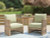 Ashley Vision Lane Beige Green Outdoor Lounge Chair (Set of 2)