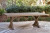 Ashley Revare Beach Beige Outdoor Dining Table