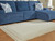 Ashley Teelgan Ivory Tan Medium Rug