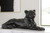 Ashley Drice Black Panther Sculpture