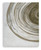 Ashley Rizwana Ivory Brown Gray 7'6" x 10' Area Rug