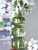 Ashley Renethorne Green Vase
