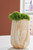 Ashley Cammen Tan White Vase