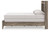 Ashley Baystorm Brown Queen Panel Bed
