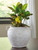 Ashley Meadie Distressed Black Vase
