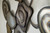 Ashley Worthman Multi Wall Decor