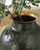 Ashley Woody Pewter Gold Finish Vase A2000845