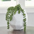 Ashley Karenton White Vase