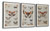Ashley Jossletts Orange Black Ivory Wall Art (Set of 3)