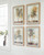 Ashley Bryneford Multi Wall Art (Set of 4)
