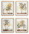Ashley Bryneford Multi Wall Art (Set of 4)