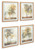 Ashley Bryneford Multi Wall Art (Set of 4)