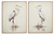 Ashley Aubinell Beige Wall Art (Set of 2)