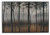 Ashley Philyra Black Orange Silver Wall Art