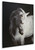 Ashley Archerwick Black White Wall Art