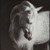 Ashley Archerwick Black White Wall Art