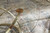 Ashley Crimonti Champagne Table (Set of 3)