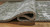 Ashley Valmontic Gray 5' x 7' Rug