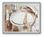 Ashley Bradlow Brown White Black Wall Art