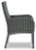 Ashley Elite Park Gray Arm Chair with Cushion (Set of 2)