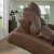 Ashley VonRyan Tobacco Power Recliner Ashley VonRyan Tobacco Power Recliner