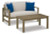 Ashley Fynnegan Gray Outdoor Loveseat with Table (Set of 2)