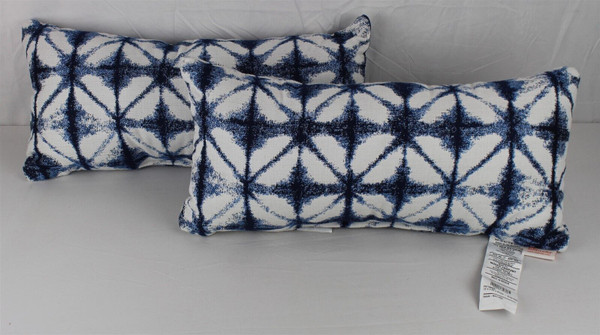 Dakota Fields Set Of 2 Tiffany Geometric Indoor/Outdoor Throw Pillow- Blue/White