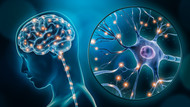 The Power of Nootropics