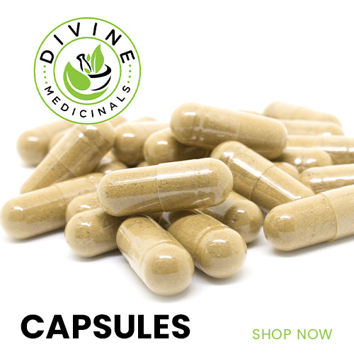 Herbal Probiotic Formula (100 Capsules)