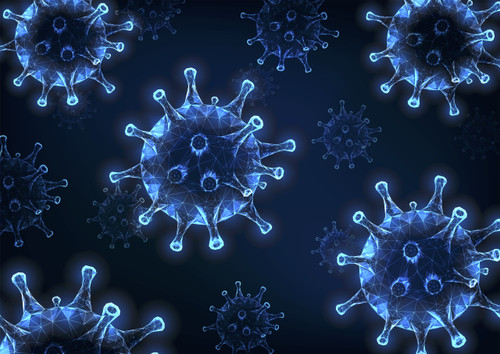 Anti-Viral Cleanse (Capsules)