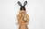 Bunny Rabbit (For Women) Bulk Loose Tea - (Bag)