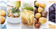 What is so Special about Potato Protein?