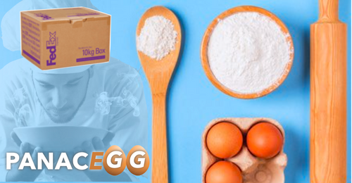PANACEGG Complete Vegan Egg Replacer for Baking (Professional)