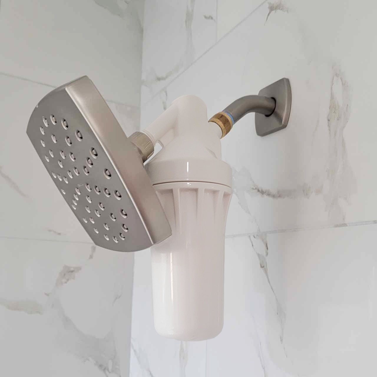 Ion Shower Filter