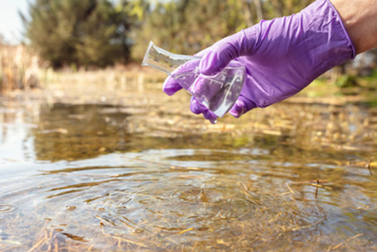 Hidden Dangers in Tap Water—the Case for Home Filtration