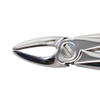 Extraction Forceps