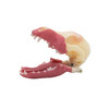 Norman – Multi-Procedure Canine Dental Model Norman – Multi-Procedure Canine Dental Model