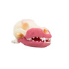 Norman – Multi-Procedure Canine Dental Model Norman – Multi-Procedure Canine Dental Model